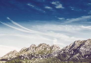 在线呼叫网页版软件